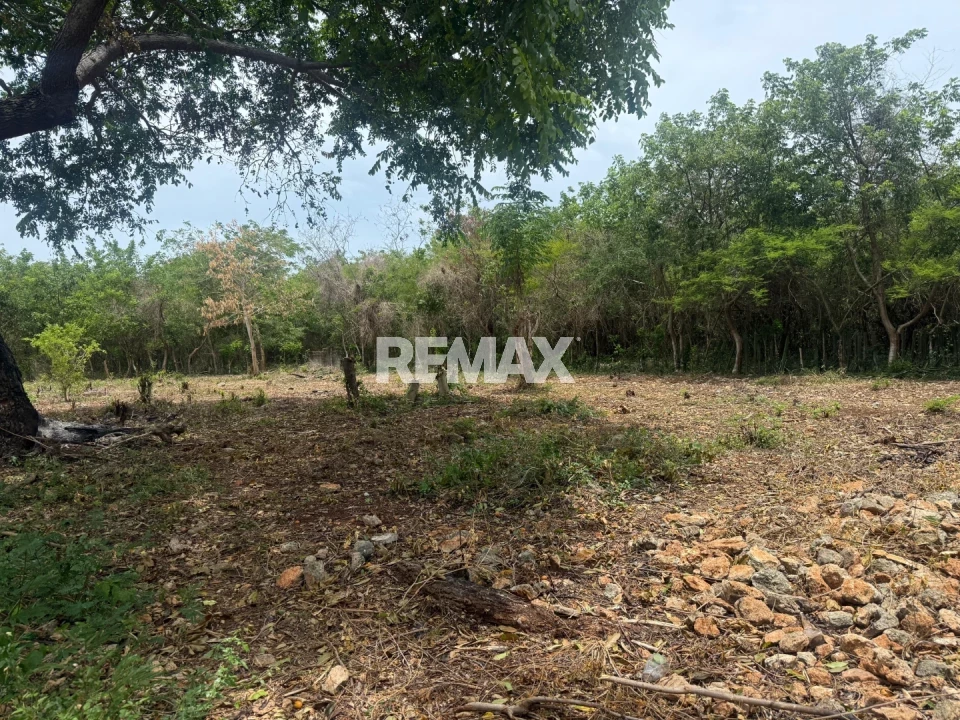 Land en GUAYACANES, JUAN DOLIO