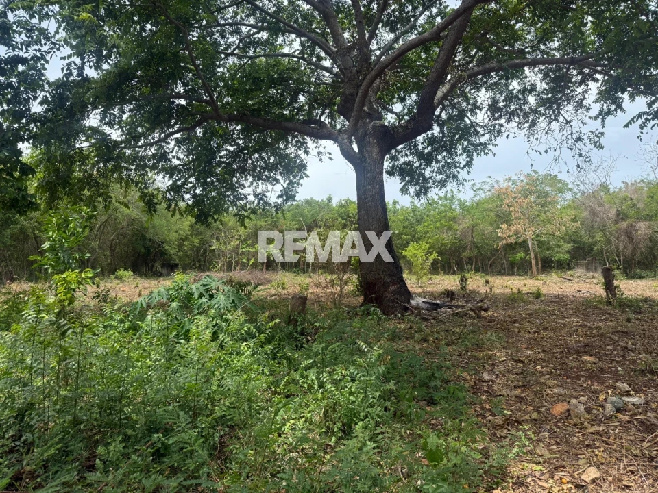 Land en GUAYACANES, JUAN DOLIO