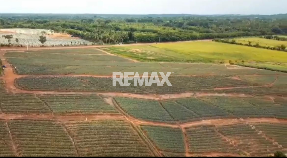 Terreno en MONTE PLATA, LOS GUAYUYOS