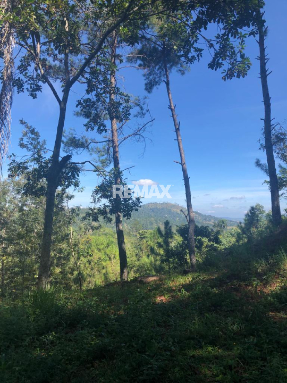 Terreno en PINAR QUEMADO, JARABACOA