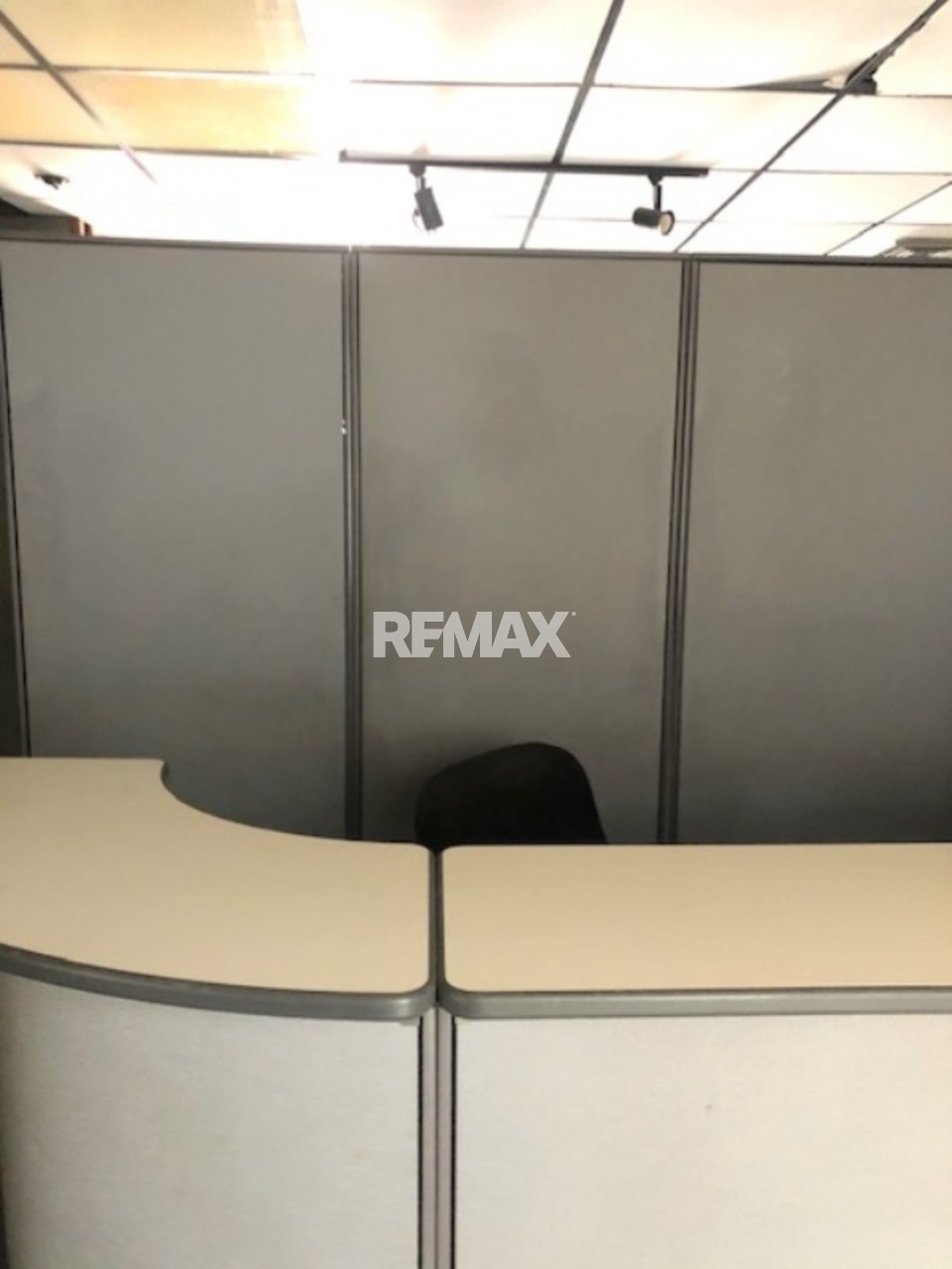 Local de Oficina en SANTO DOMINGO DE GUZMÁN, ENSANCHE LA FÉ