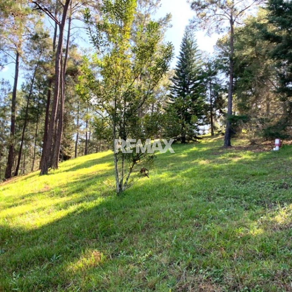 Terreno en JARABACOA, JARABACOA