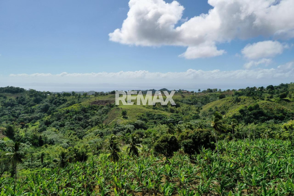 Terreno en JUANA VICENTA, SAMANÁ