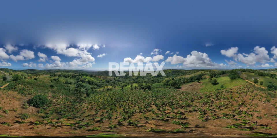 Terreno en JUANA VICENTA, SAMANÁ