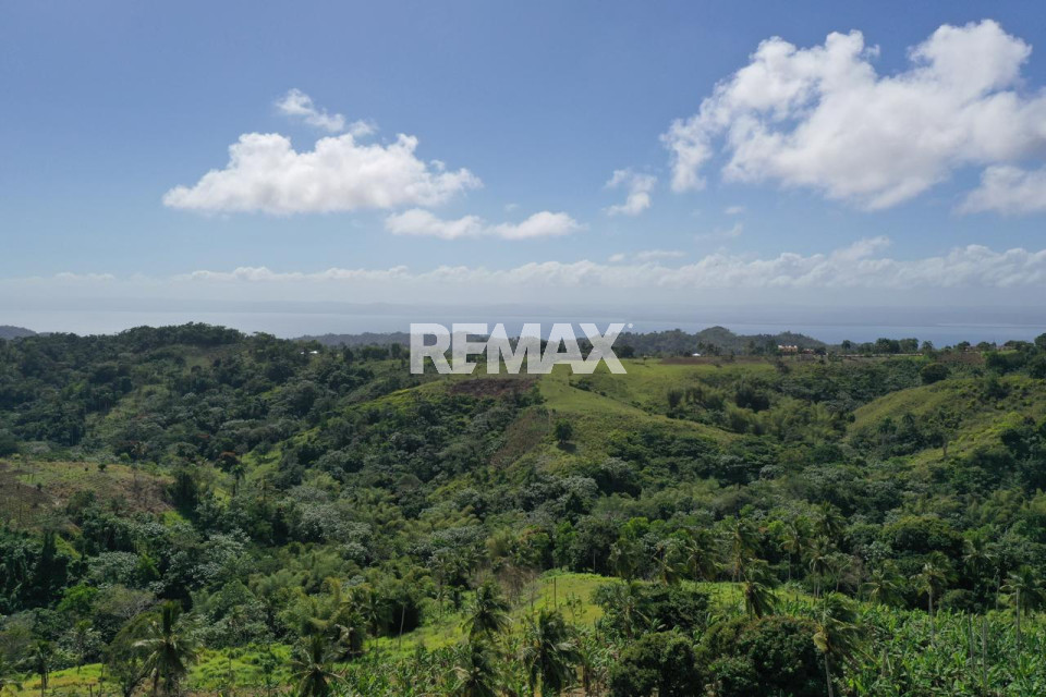 Terreno en JUANA VICENTA, SAMANÁ