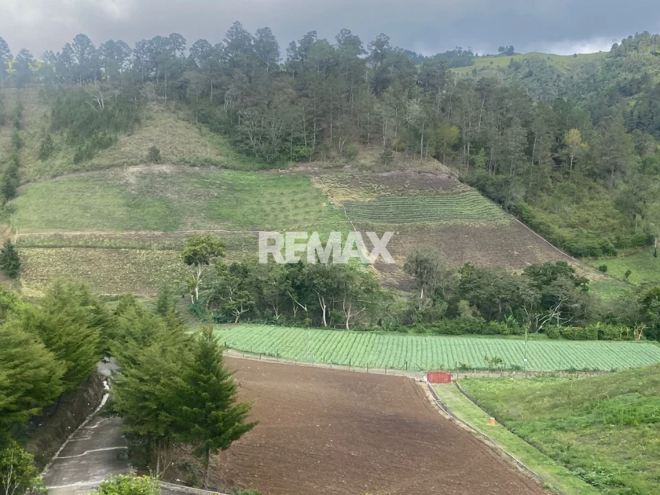 Terreno en PALERO ALMONTE, CONSTANZA