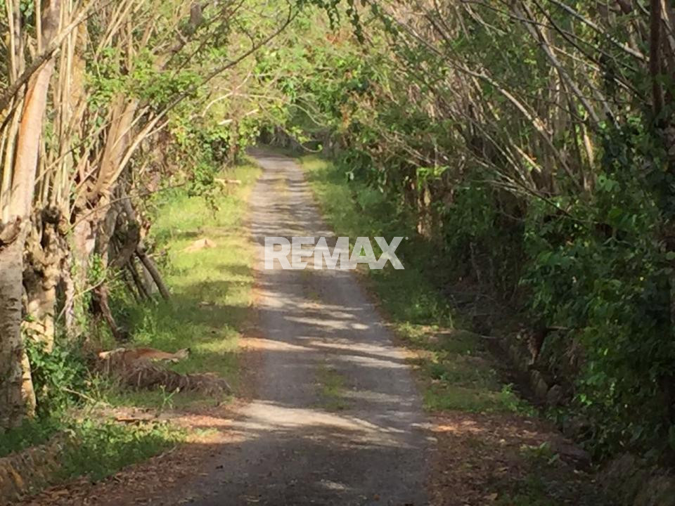 Terreno en SANTO DOMINGO DE GUZMÁN, Autopista Duarte