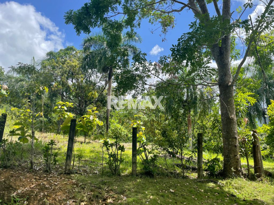 Terreno en LA COLINA I, VILLA ALTAGRACIA