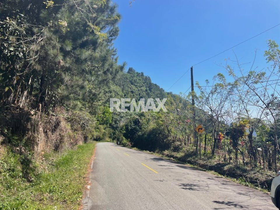 Property view 4