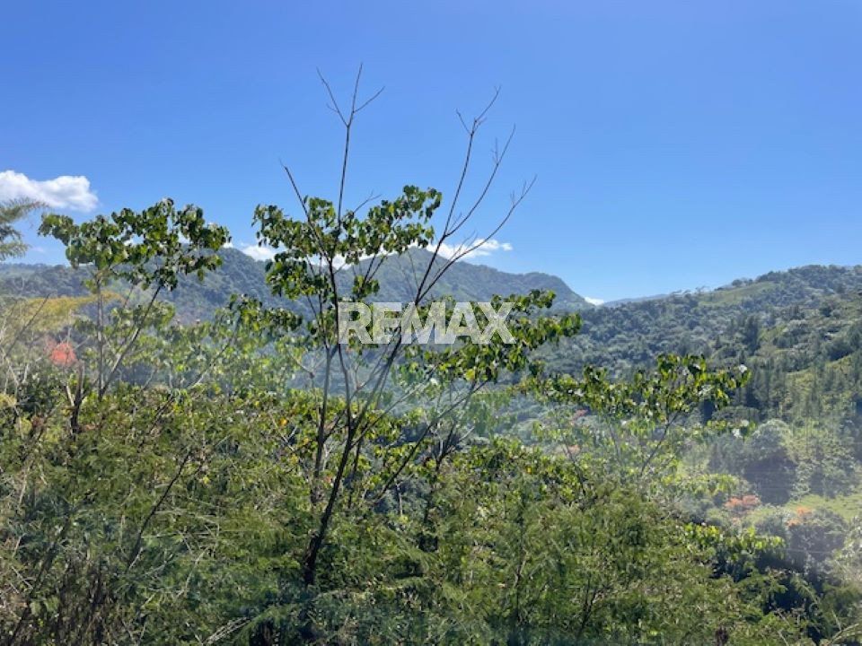 Property view 6