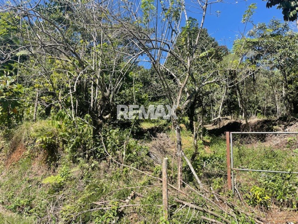 Property view 5