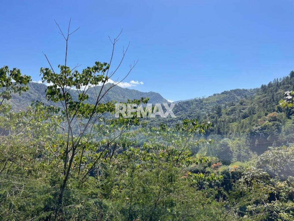 Property view 7