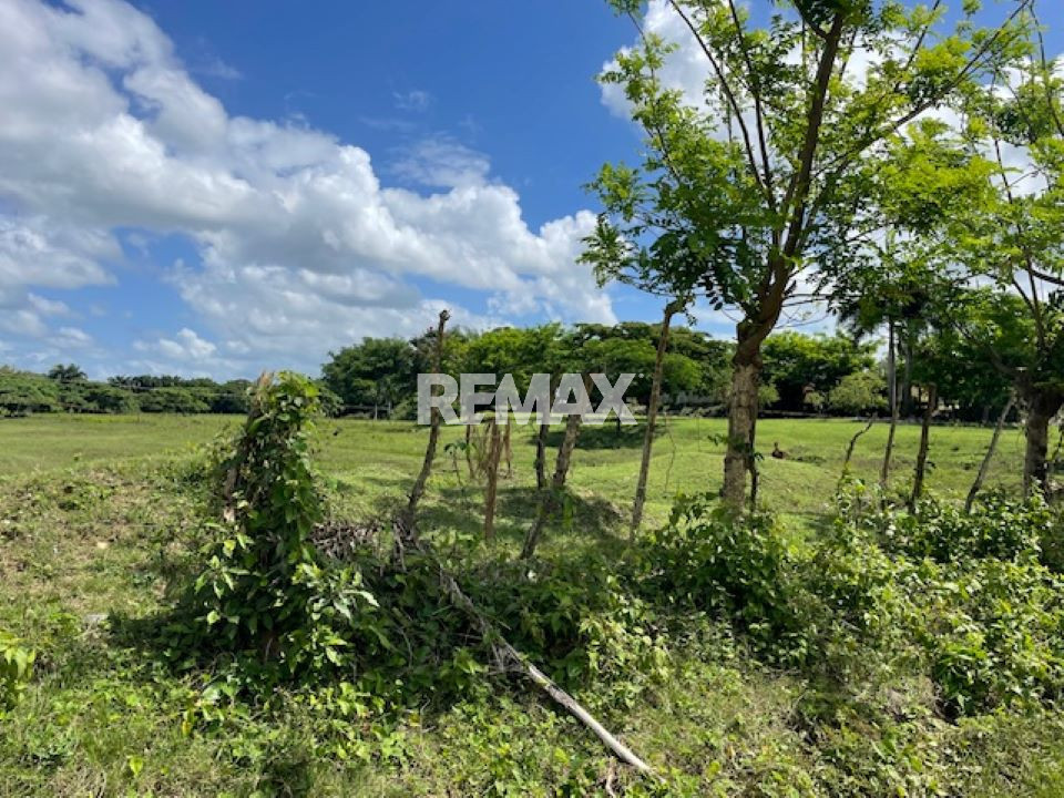 Property view 4
