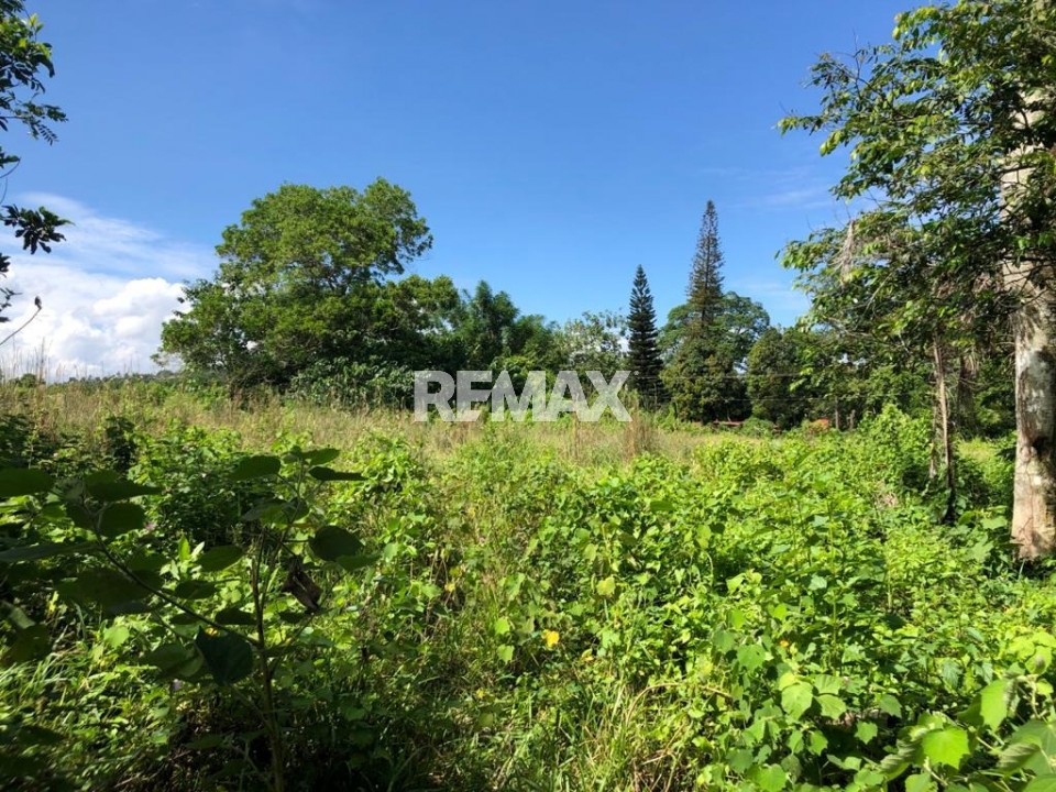 Terreno en BONAO, PARAÍSO