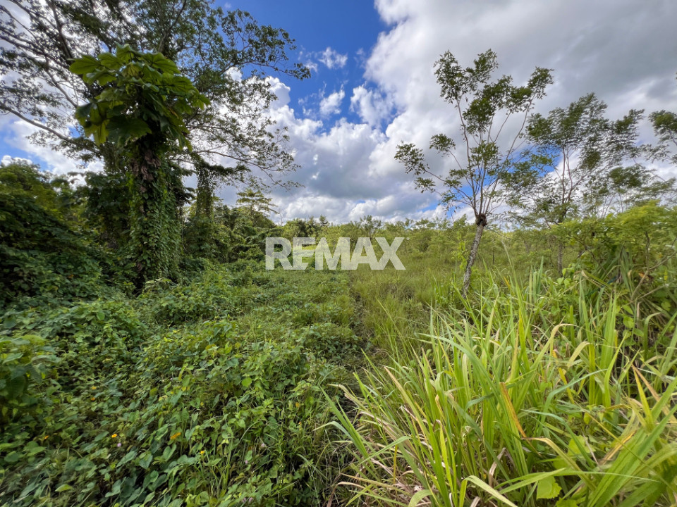 Finca en DAJAO, BAYAGUANA