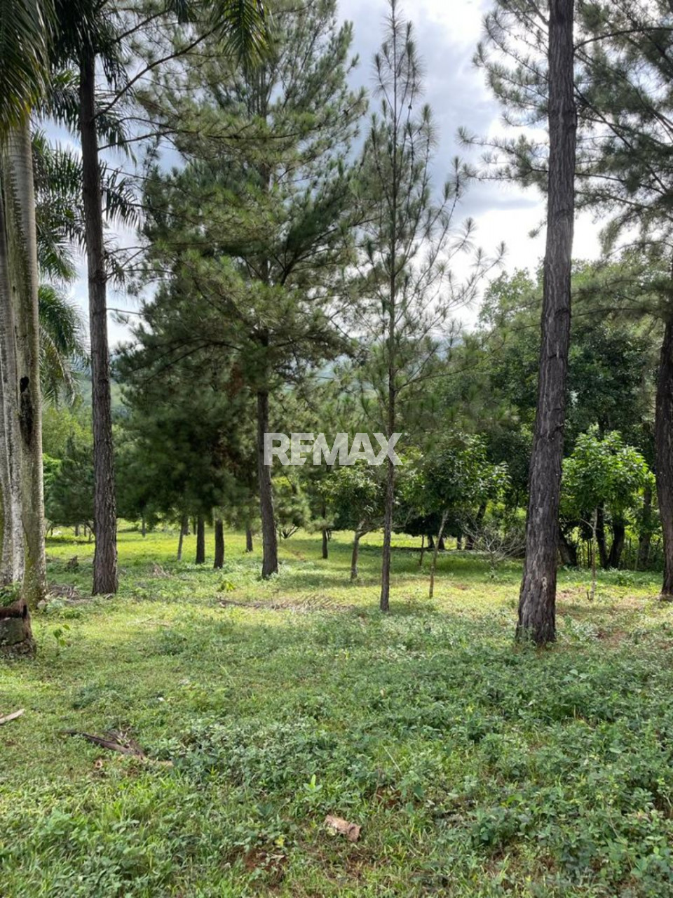 Terreno en VILLA ALTAGRACIA, SAN CRISTÓBAL