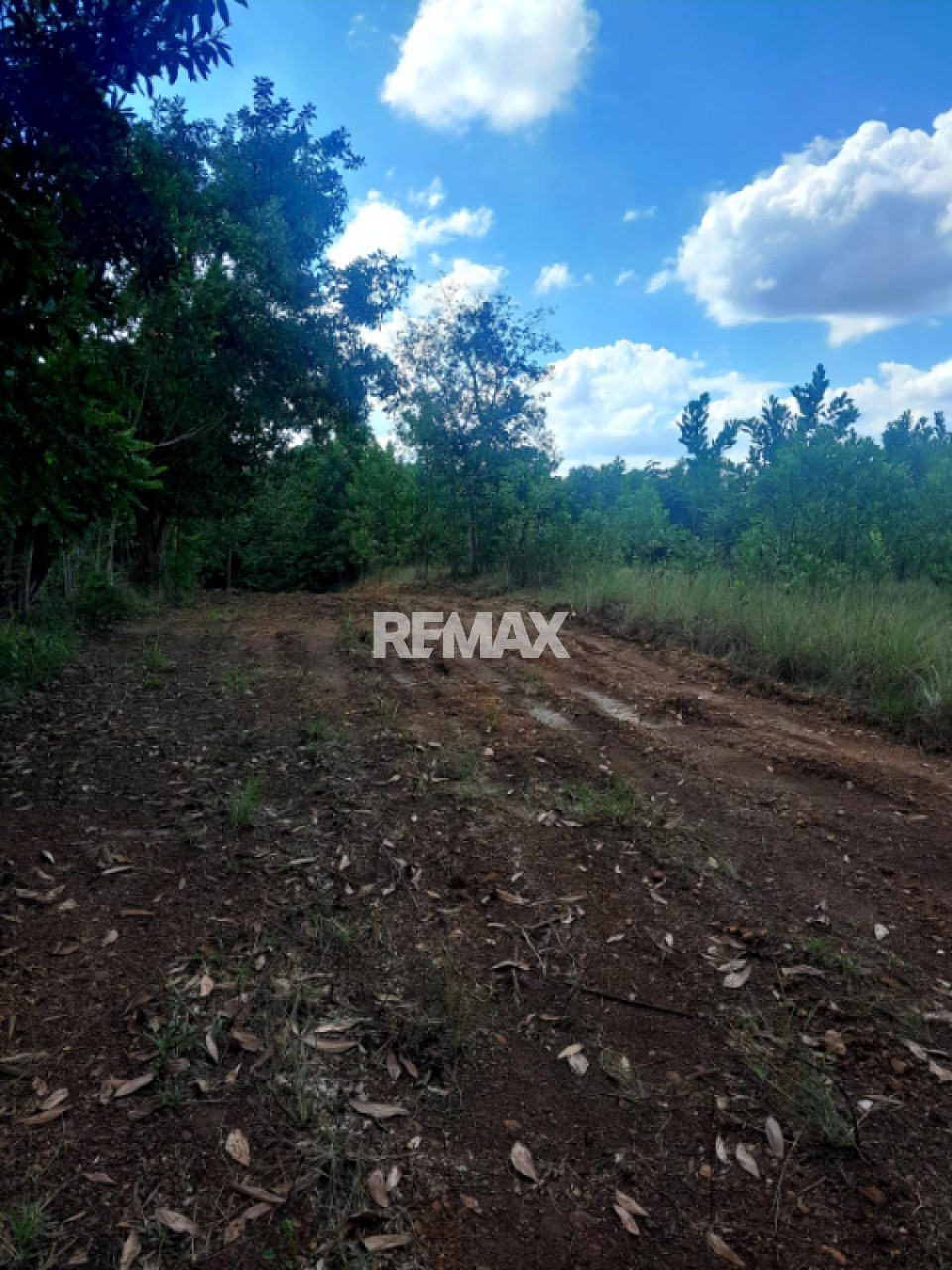 Terreno en SANTO DOMINGO NORTE, HIGUERO