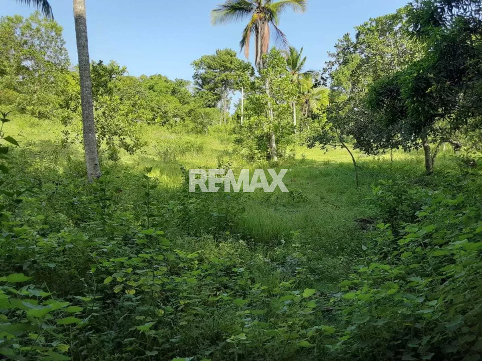 Land en SANTO DOMINGO NORTE, SIERRA PRIETA