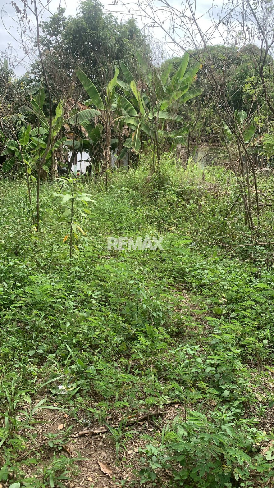 Terreno en RESIDENCIAL VILLA ESPAÑA, SANTO DOMINGO NORTE