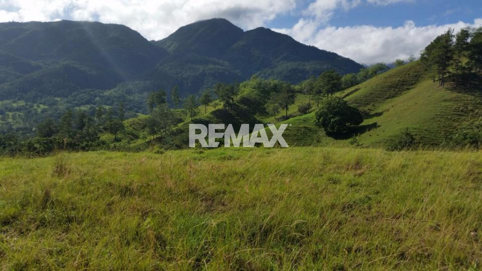 Terreno en JARABACOA, HATILLO