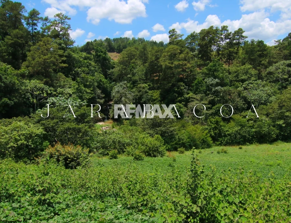 Proyecto de Terreno en JARABACOA, JARABACOA