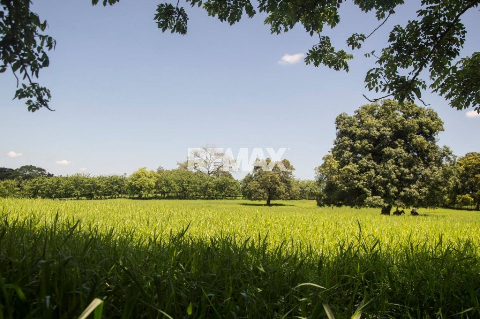 Land en SANTO DOMINGO NORTE, LA VICTORIA