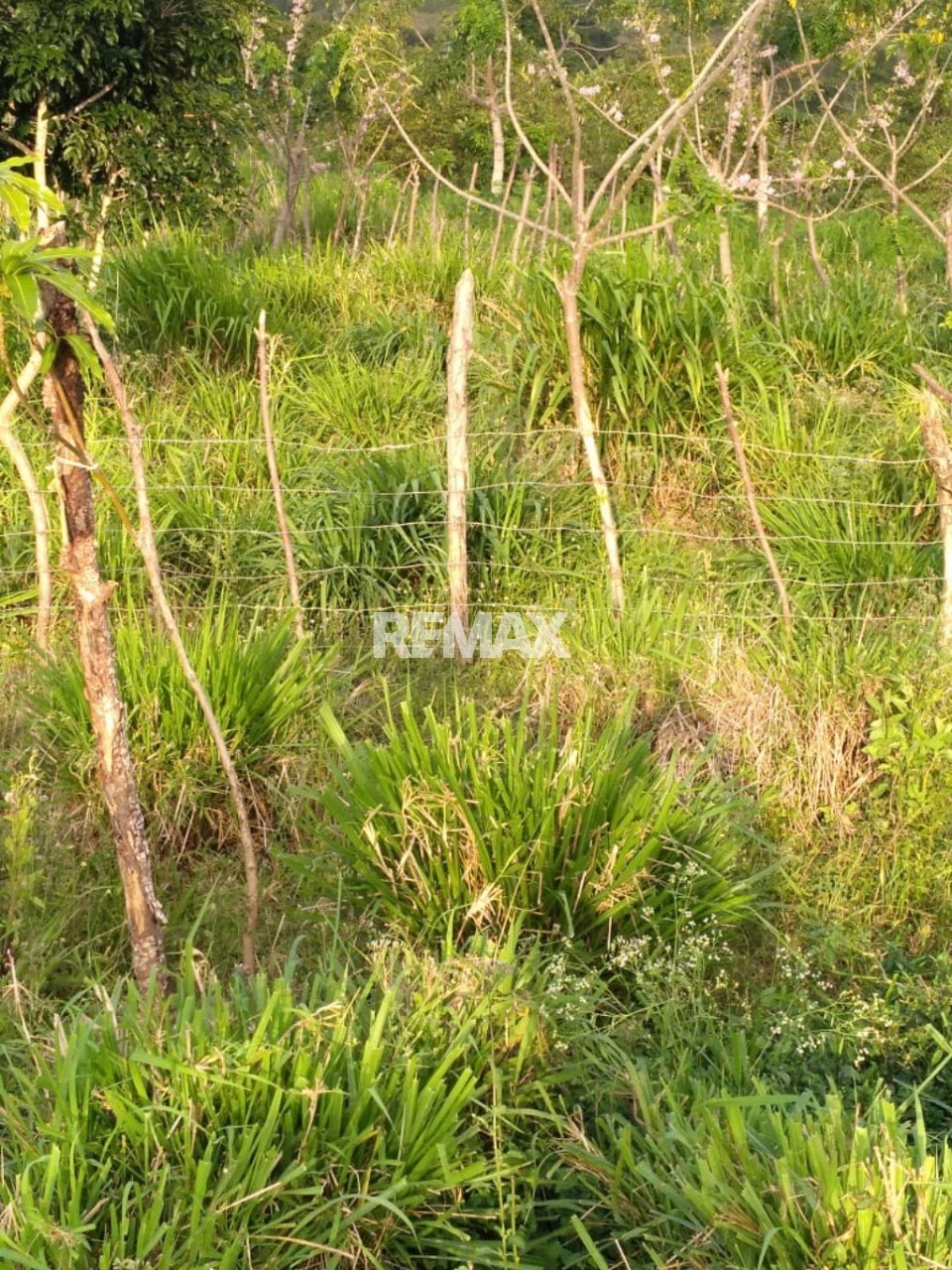 Terreno en SAMANÁ, LAS GALERAS
