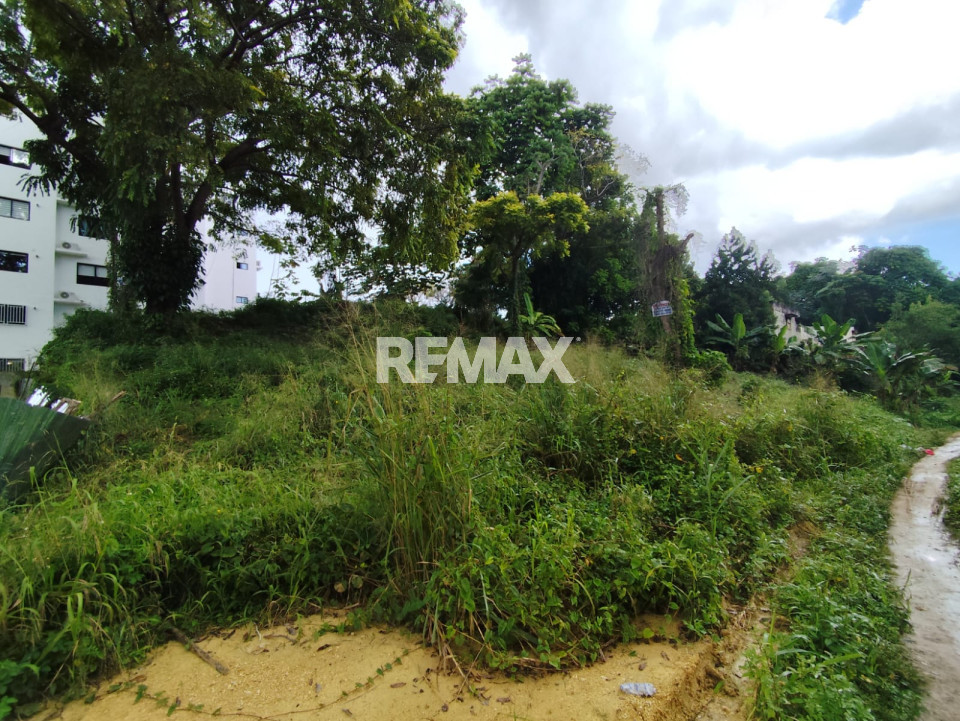 Terreno en DON HONORIO, SANTO DOMINGO DE GUZMÁN