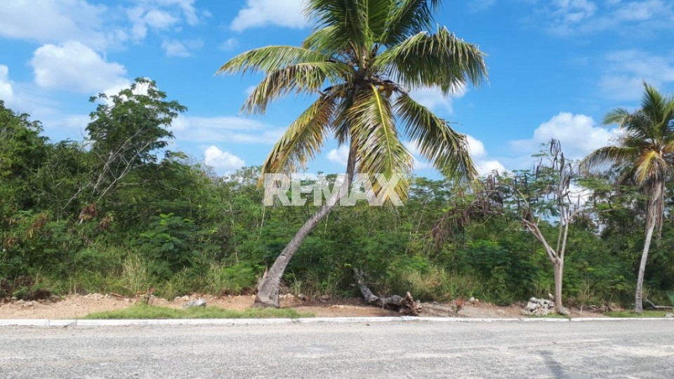 Terreno en GUAYACANES, JUAN DOLIO