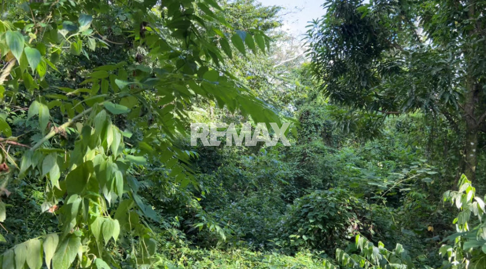 Terreno en SANTO DOMINGO DE GUZMÁN, LOMAS LINDAS