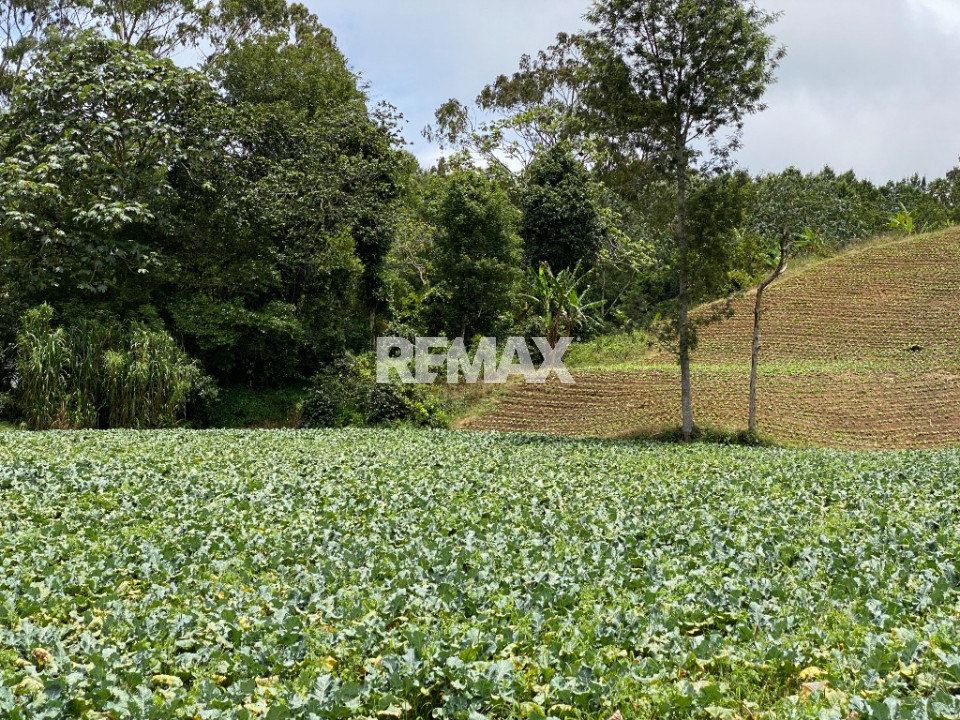 Finca en LA DESCUBIERTA, CONSTANZA