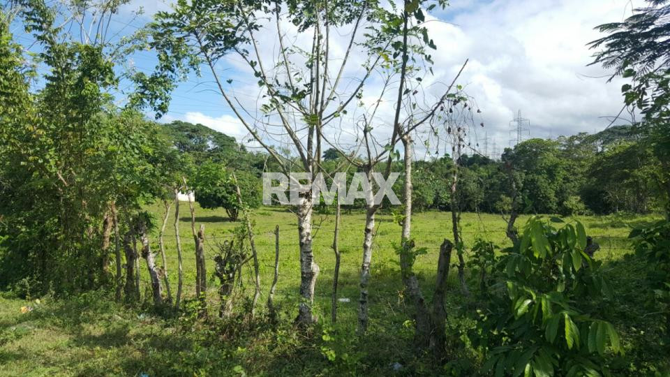 Terreno en BATEY PALAMARA, PEDRO BRAND