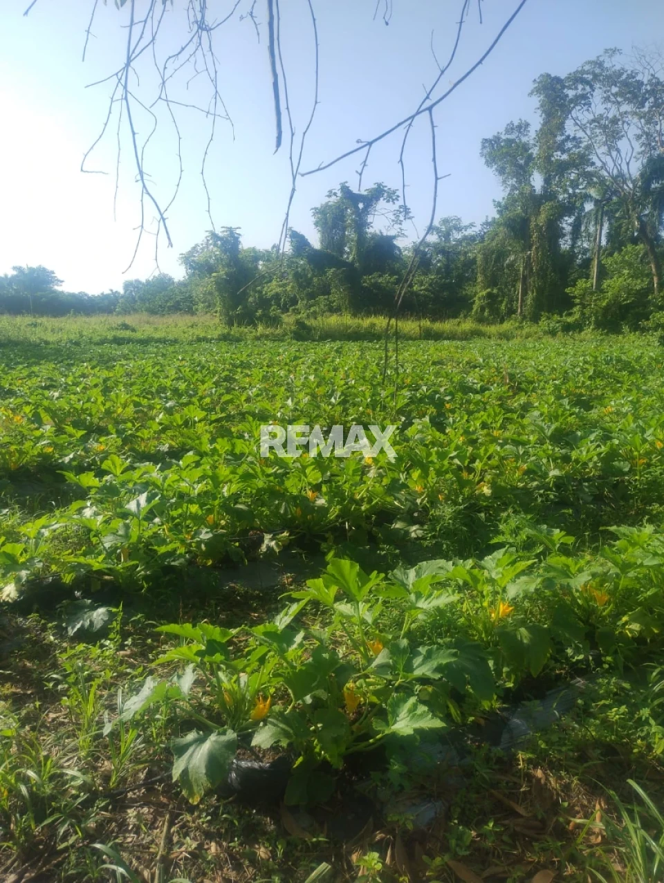 Terreno en San Antonio de Guerra, SANTO DOMINGO ESTE