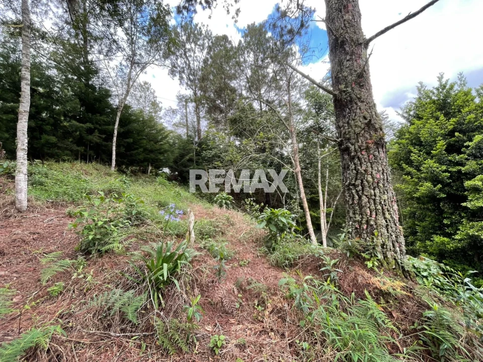 Terreno en CONSTANZA, LA VEGA