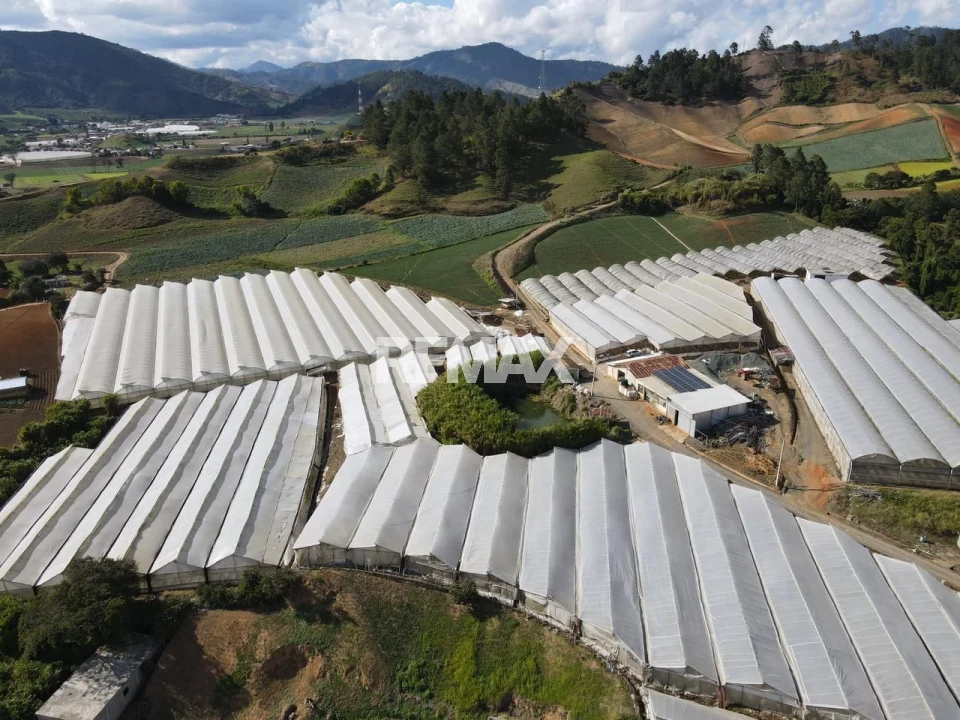 Terreno en TIREO ABAJO, CONSTANZA