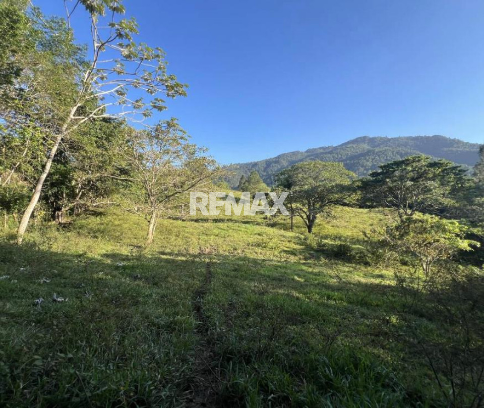 Terreno en HATILLO, JARABACOA