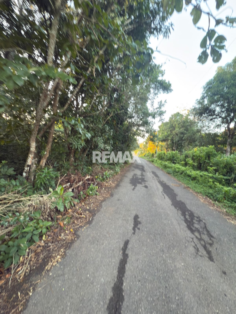 Terreno en LA MADAMA, BAYAGUANA