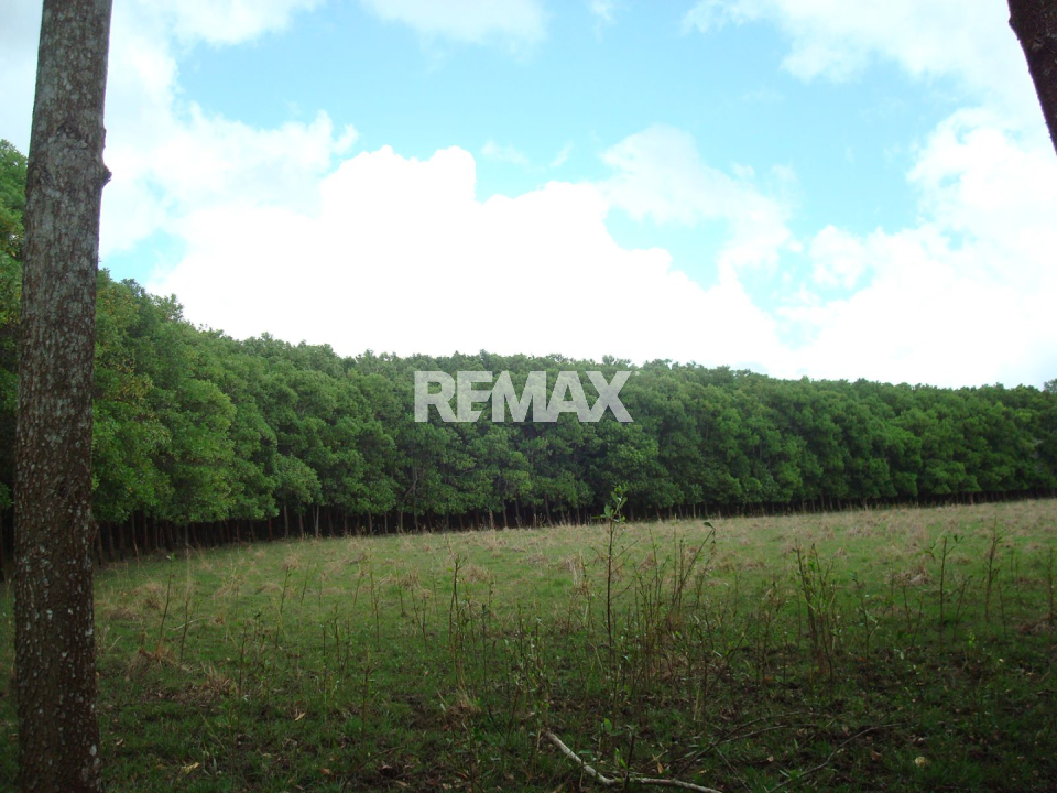 Terreno en EUGENIO MARÍA DE HOSTOS, SABANA DE LA CEYBA