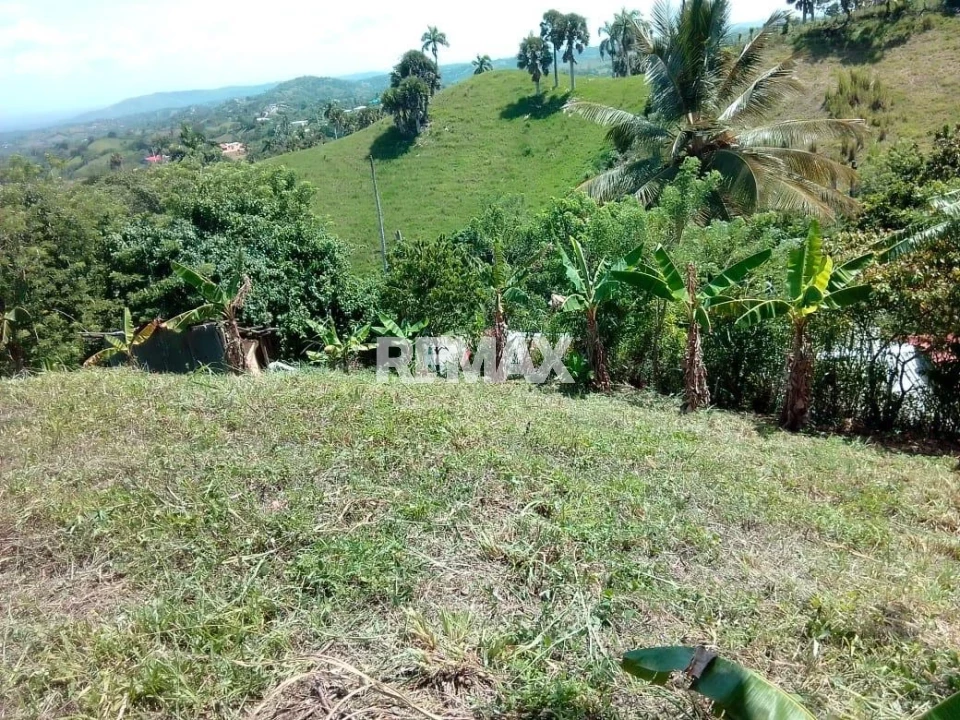 Property view 1