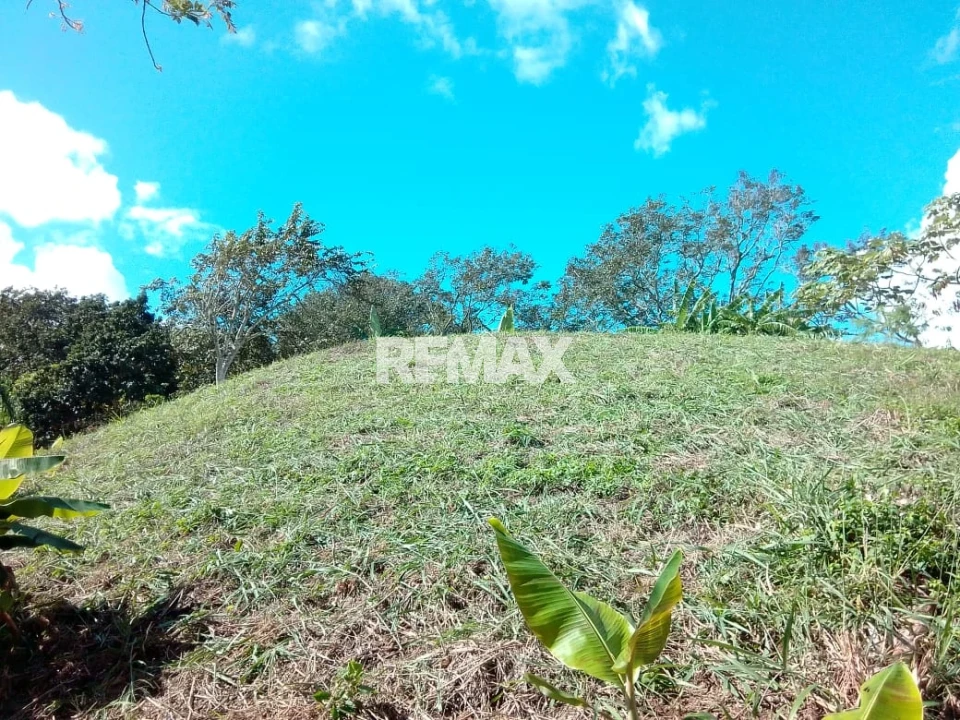 Property view 2