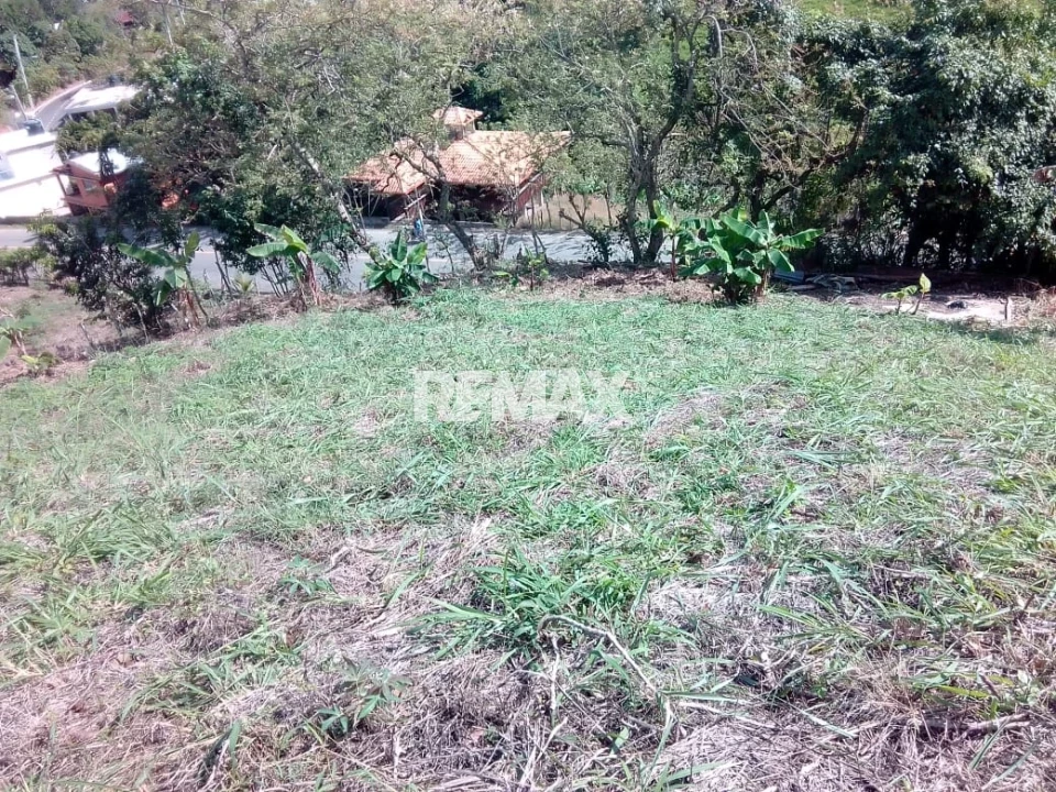 Property view 3