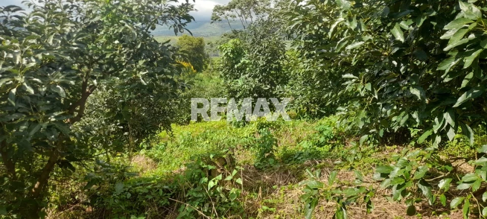 Finca en LA ALTAGRACIA, PEDERNALES