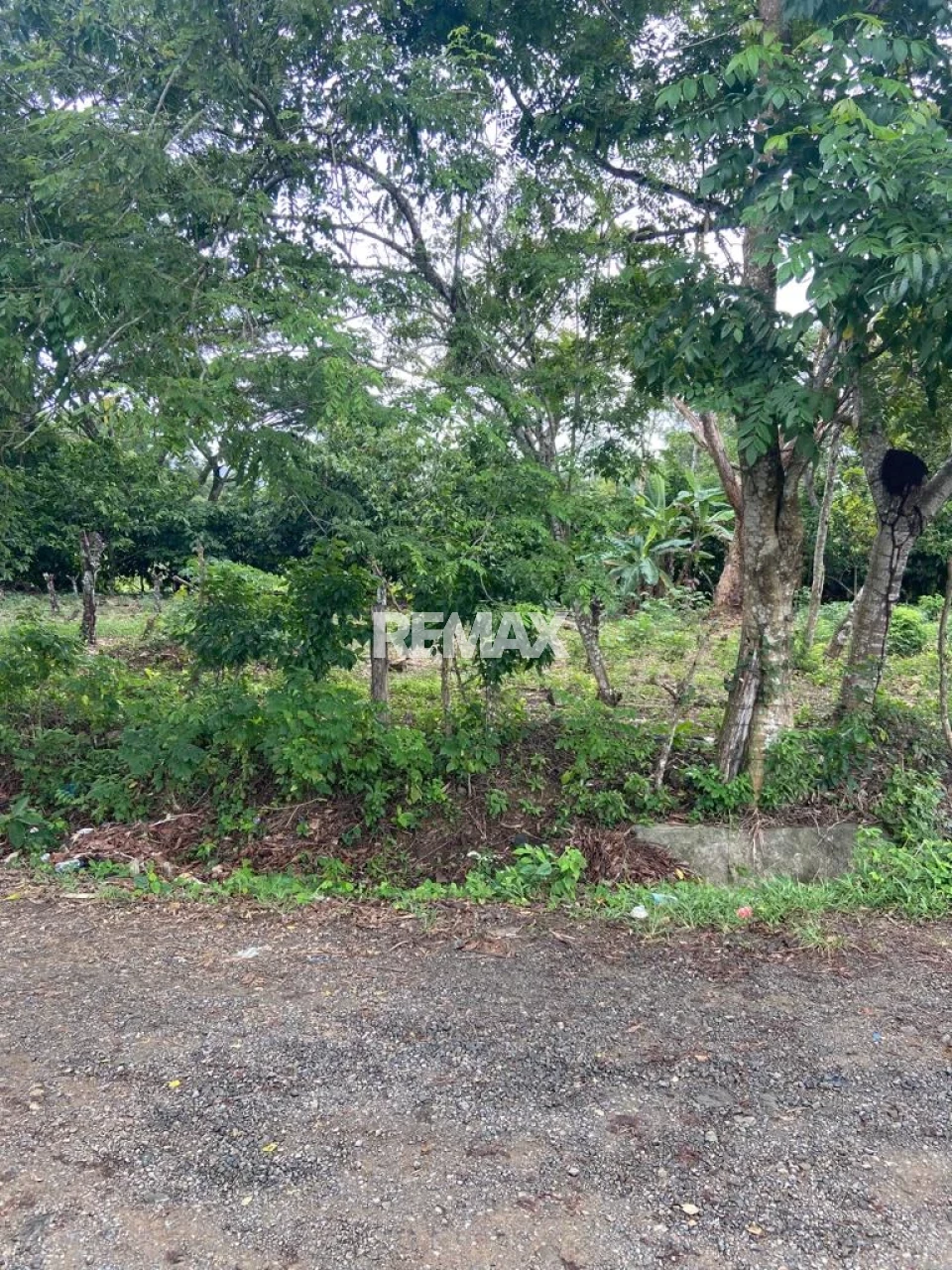 Terreno en SABANA DE PAYABO, MONTE PLATA