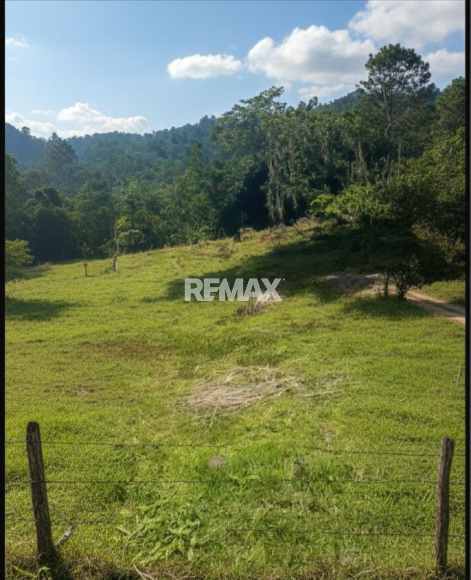 Terreno en BUENA VISTA, JARABACOA