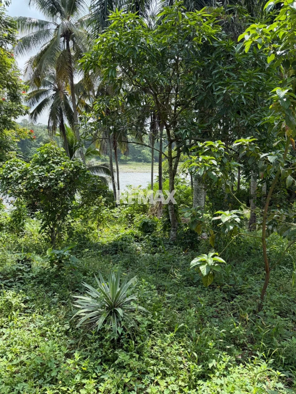 Property view 4