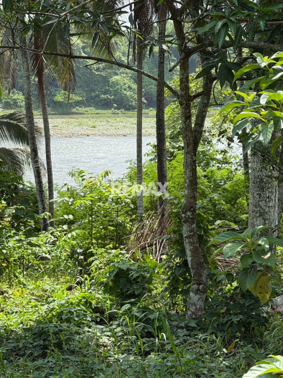 Property view 5