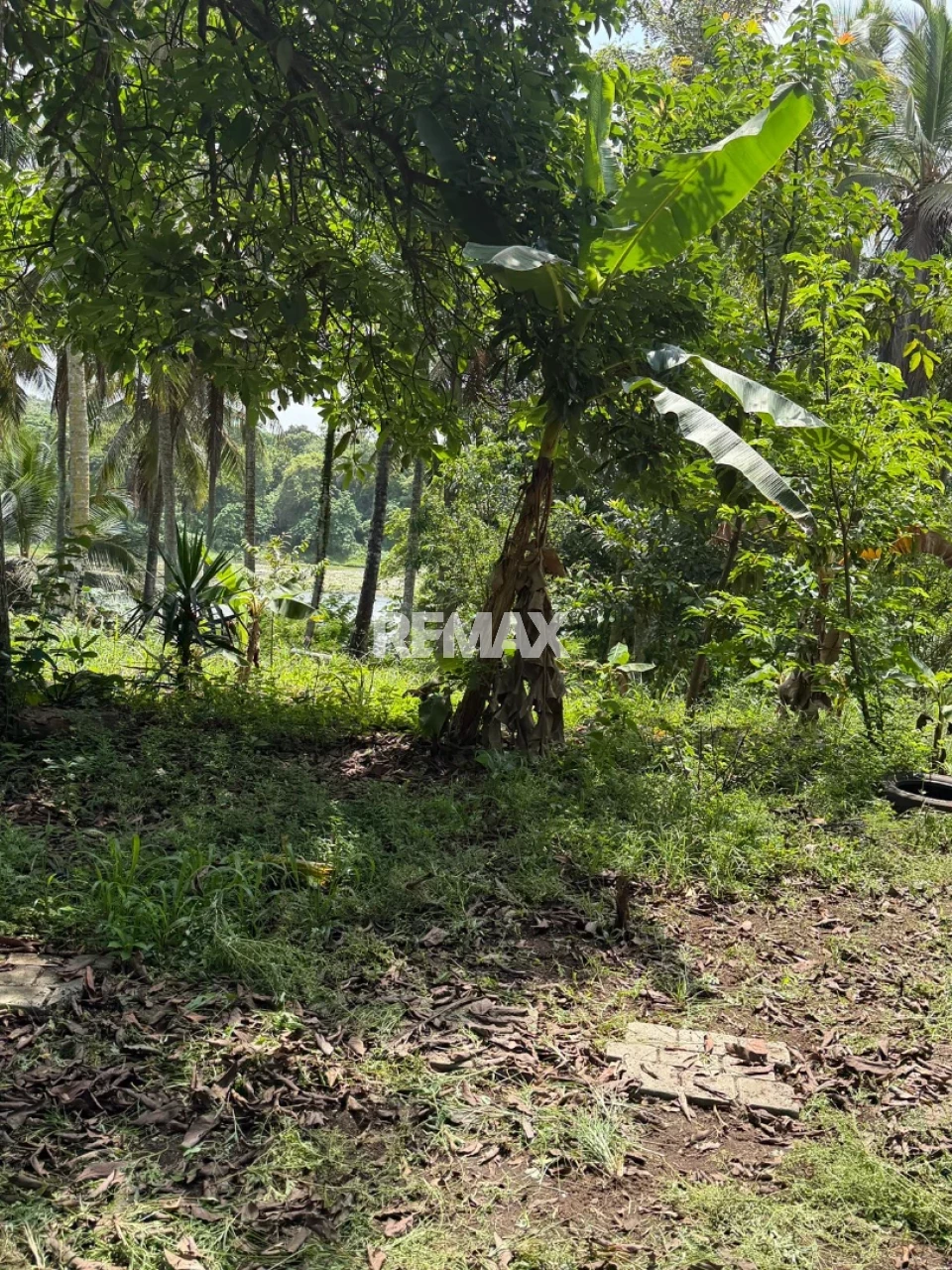 Property view 2