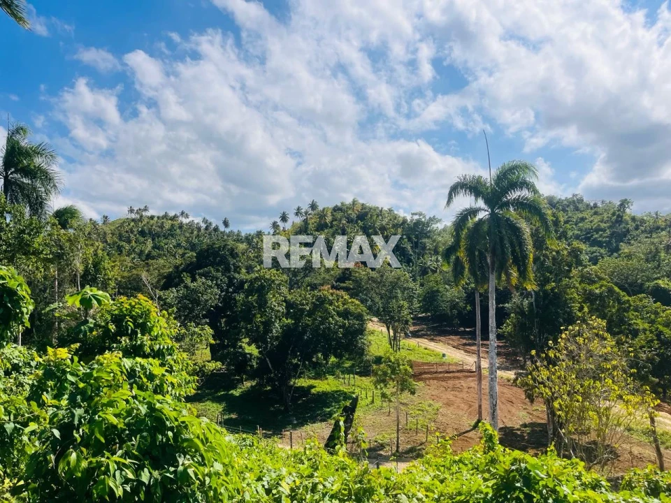 Land en SAMANÁ, SANTA BÁRBARA
