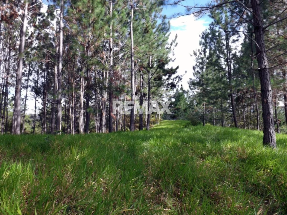 Terreno en SAN JOSÉ DE LAS MATAS, LOS MONTONES ARRIBA