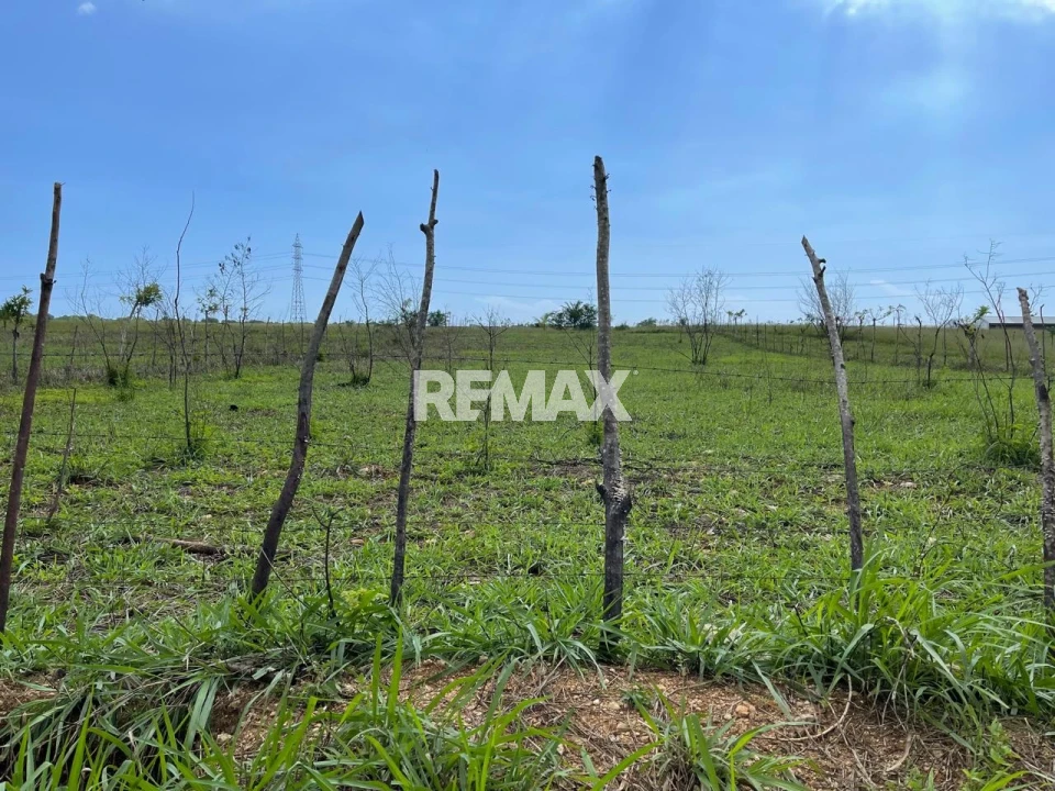 Terreno en GUAYACANES, SAN PEDRO DE MACORÍS